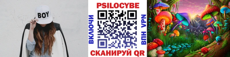 Купить где  Нерехта  Галлюциногенные грибы MAGIC MUSHROOMS 